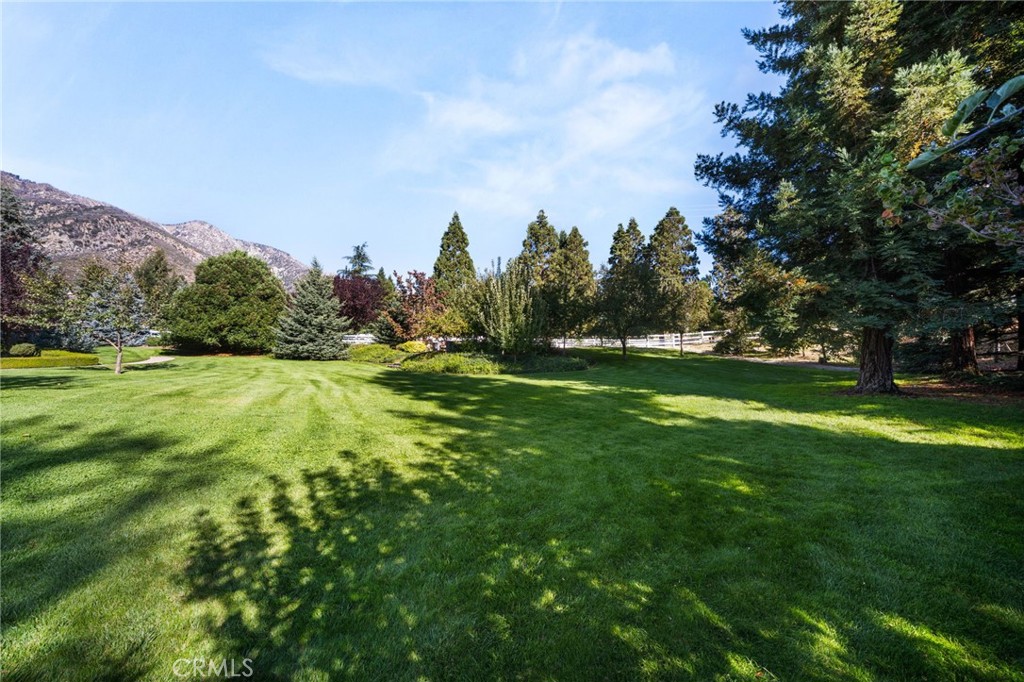 39287 Pine Property Photo 37