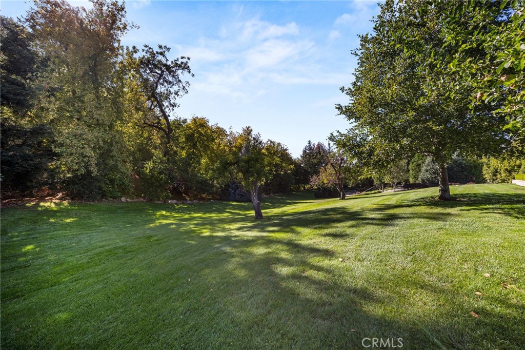39287 Pine Property Photo 42