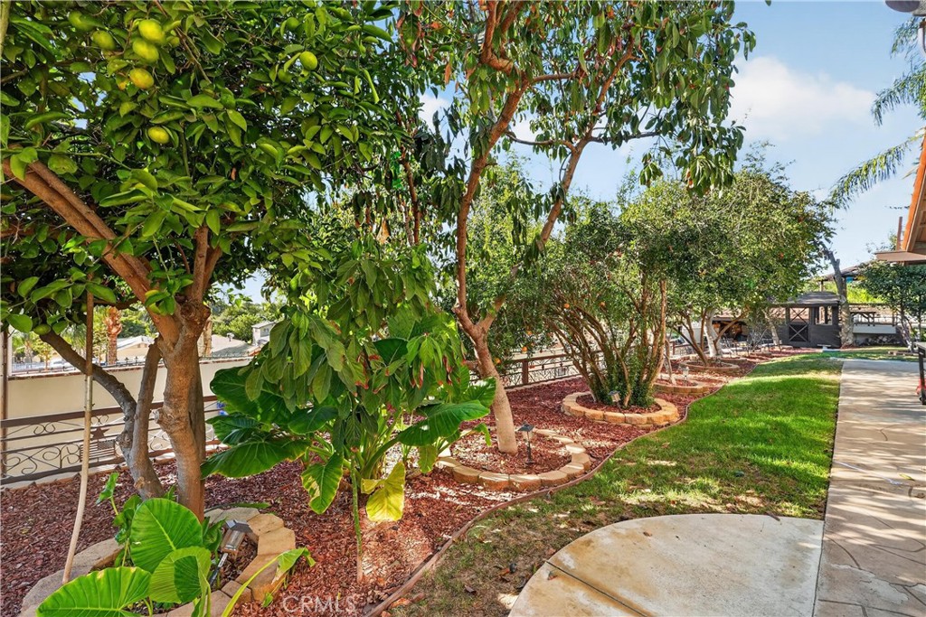 10225 60th Property Photo 24
