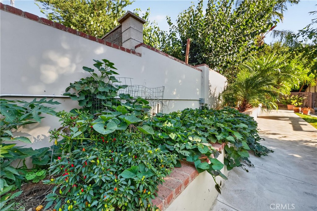 10225 60th Property Photo 35