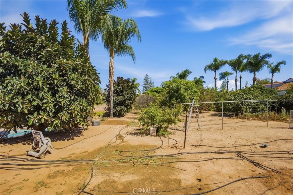 10852 Cleveland Property Photo 65