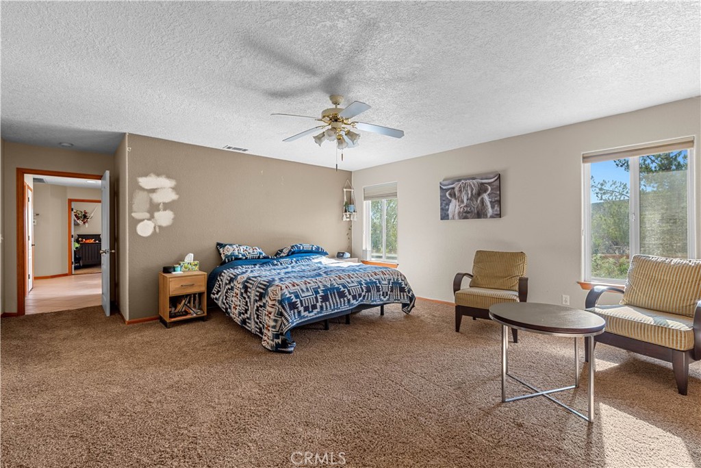 3950 Coriander Drive Property Photo 19