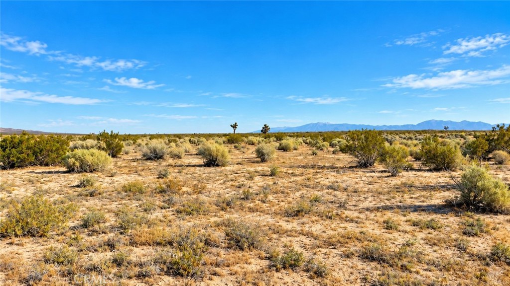 0 None Property Photo 1
