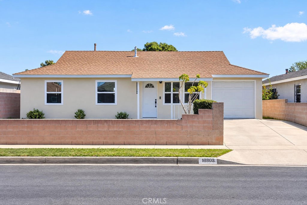 18806 Cairo Property Photo 3