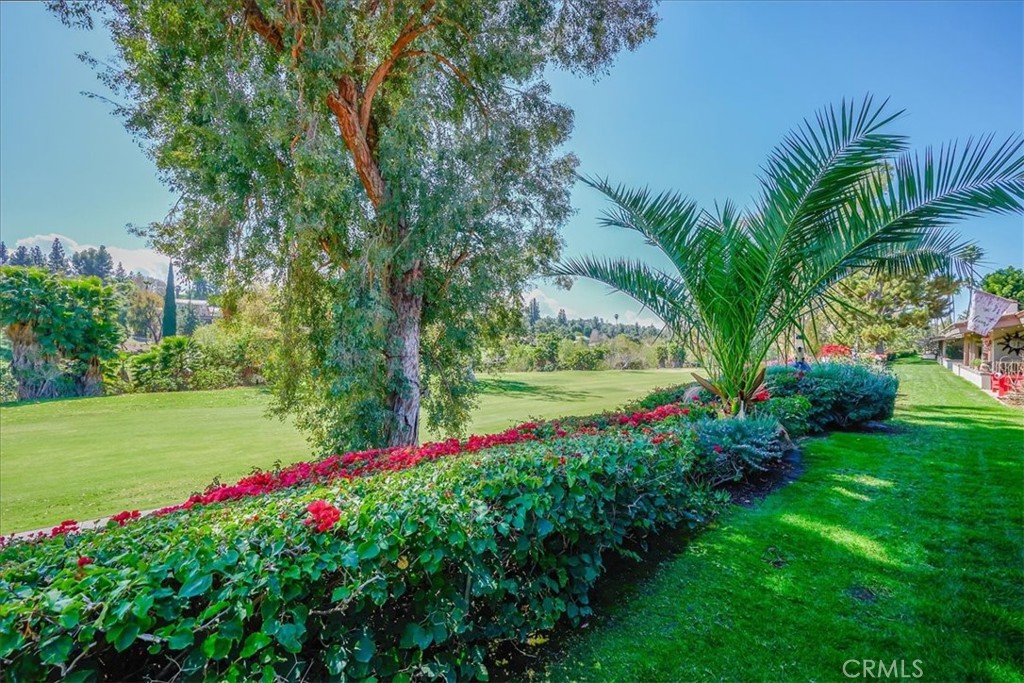 712 Via Zapata Property Photo 31
