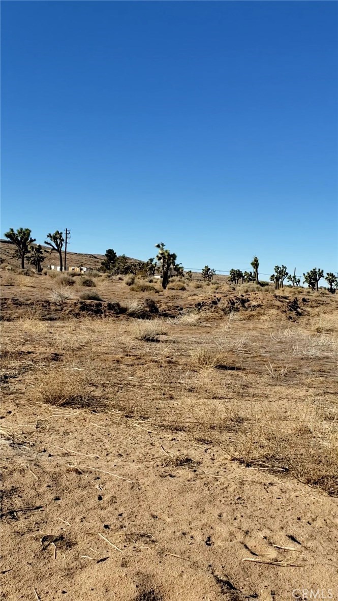 56825 Sun Oro Drive Property Photo 4