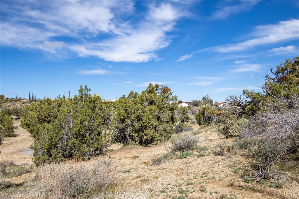 9486 Carmelita Circle Property Photo 14