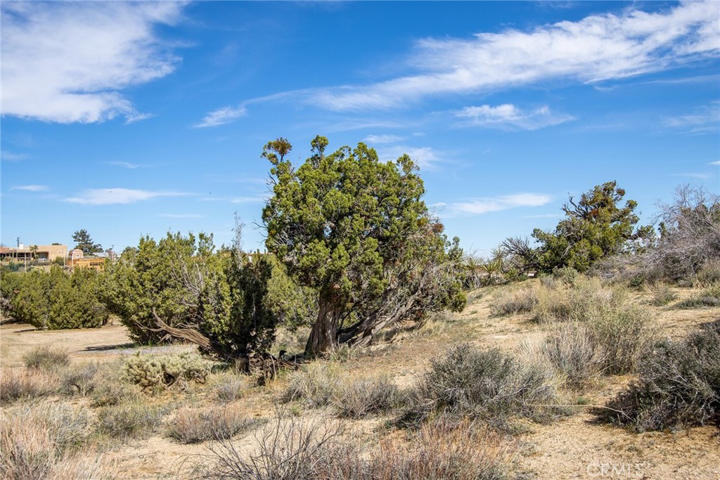 9486 Carmelita Circle Property Photo 17