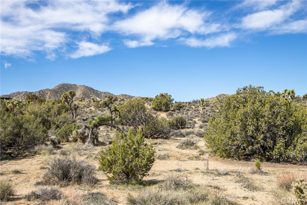 9486 Carmelita Circle Property Photo 19