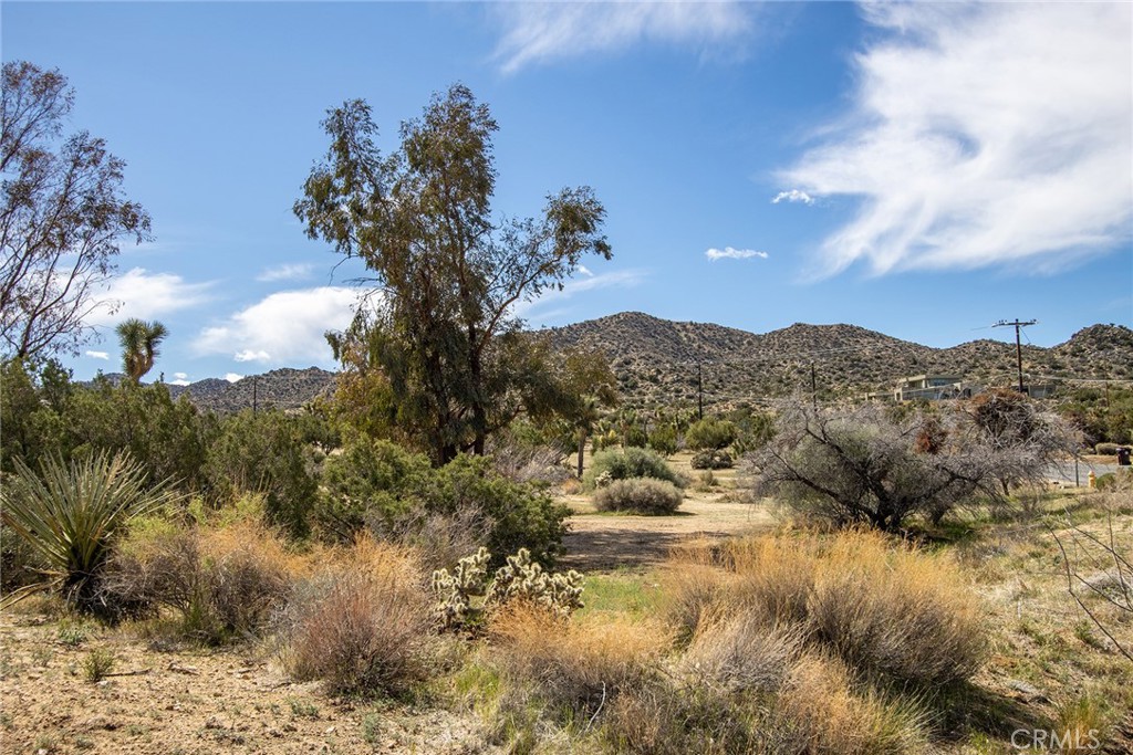 9486 Carmelita Circle Property Photo 20