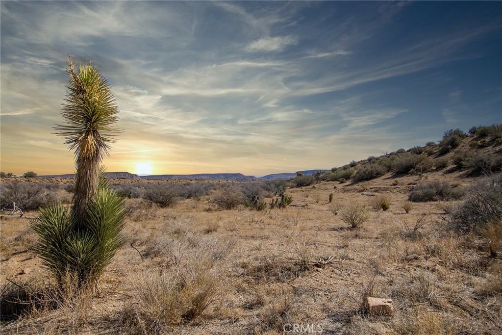 50600 Burns Canyon Road Property Photo 1