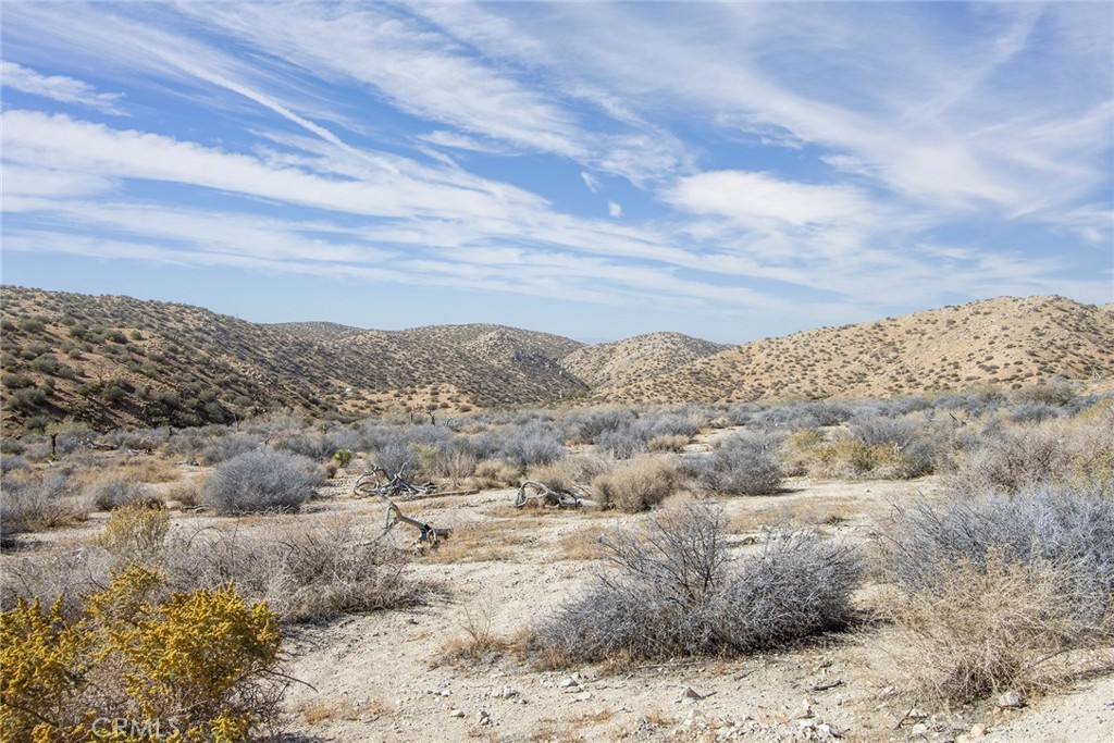 50600 Burns Canyon Road Property Photo 13