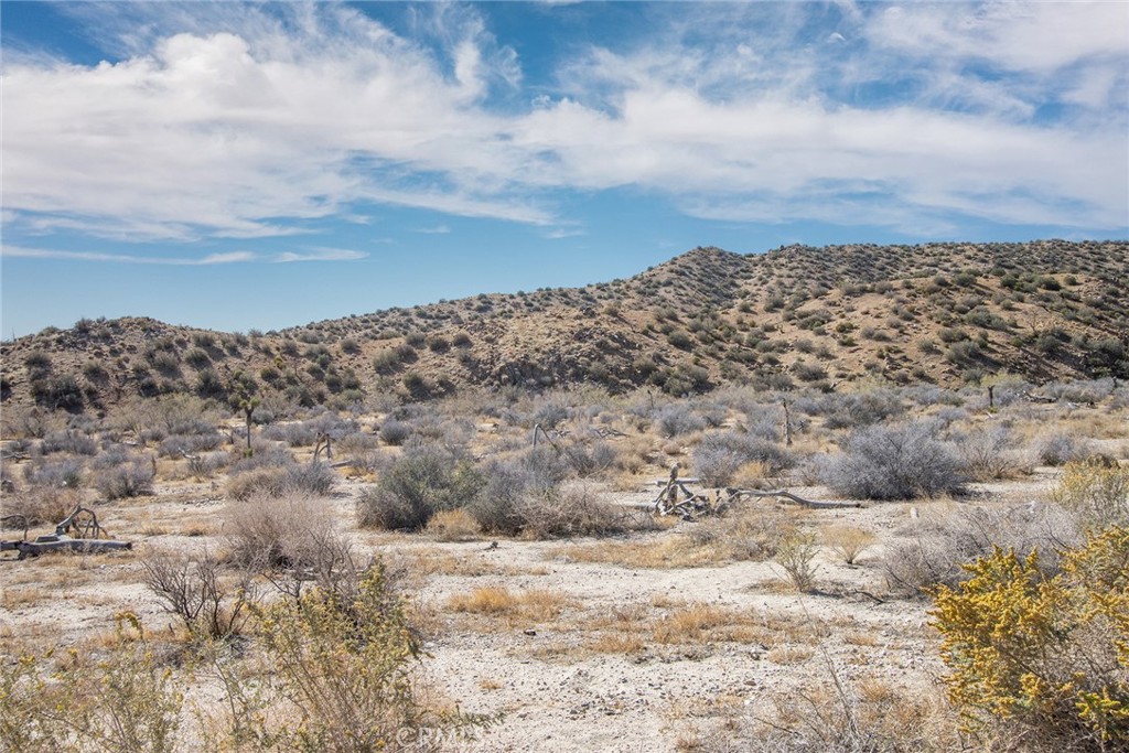 50600 Burns Canyon Road Property Photo 14