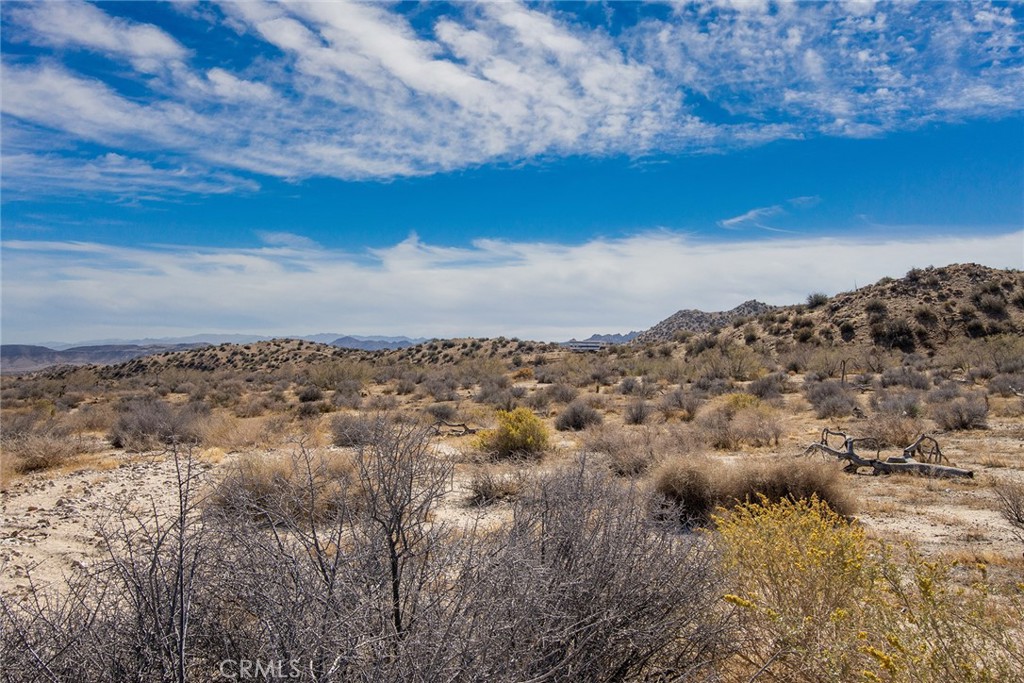 50600 Burns Canyon Road Property Photo 15