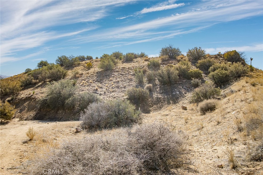 50600 Burns Canyon Road Property Photo 20