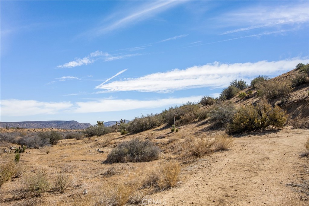 50600 Burns Canyon Road Property Photo 21
