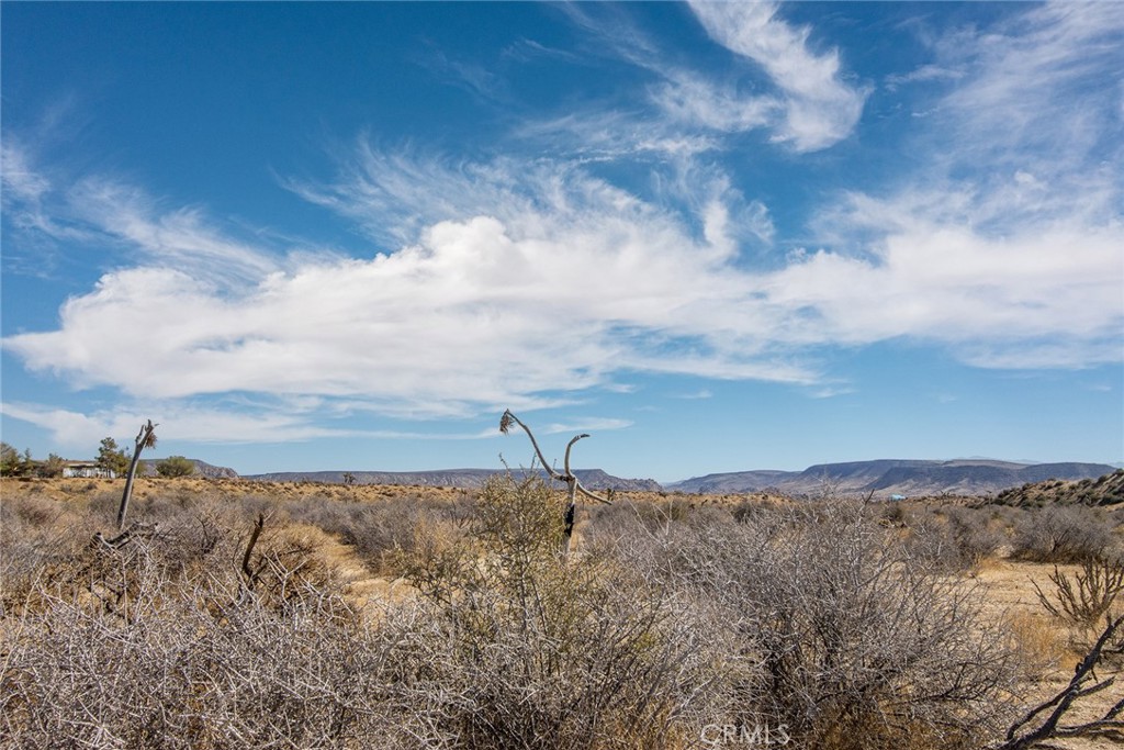 50600 Burns Canyon Road Property Photo 23