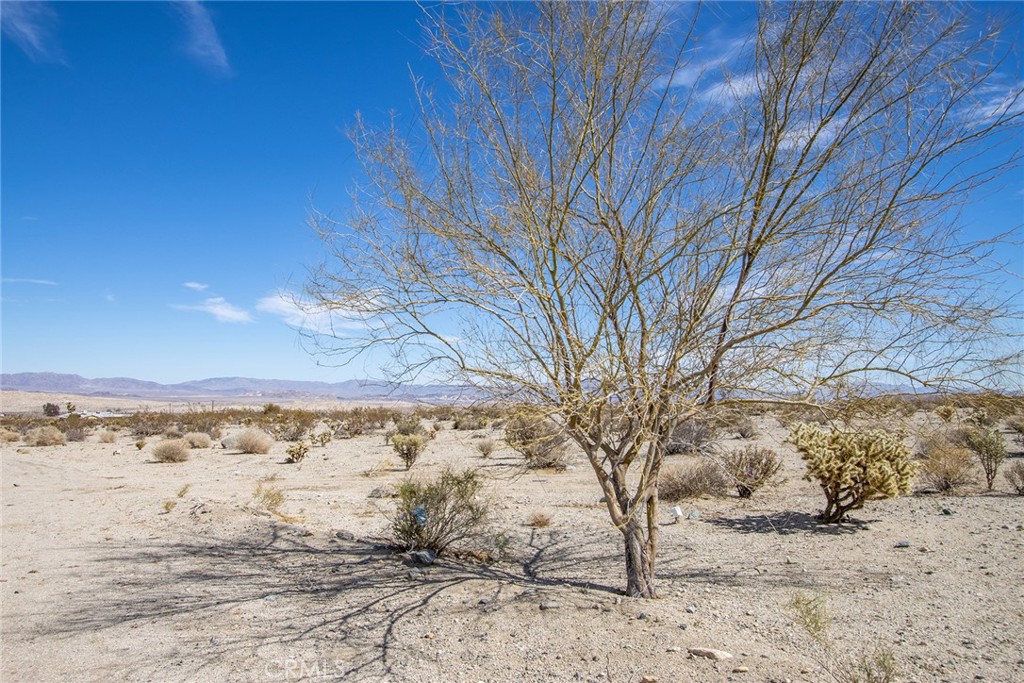 7600 Bedouin Avenue Property Photo 13