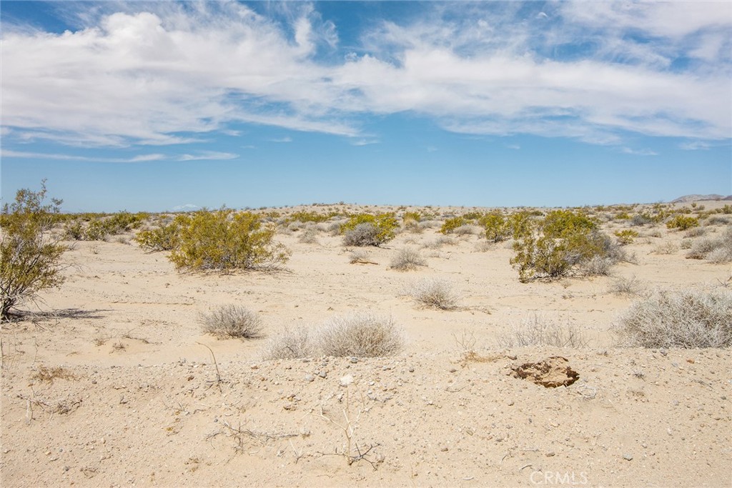 4500 Blower Road Property Photo 6