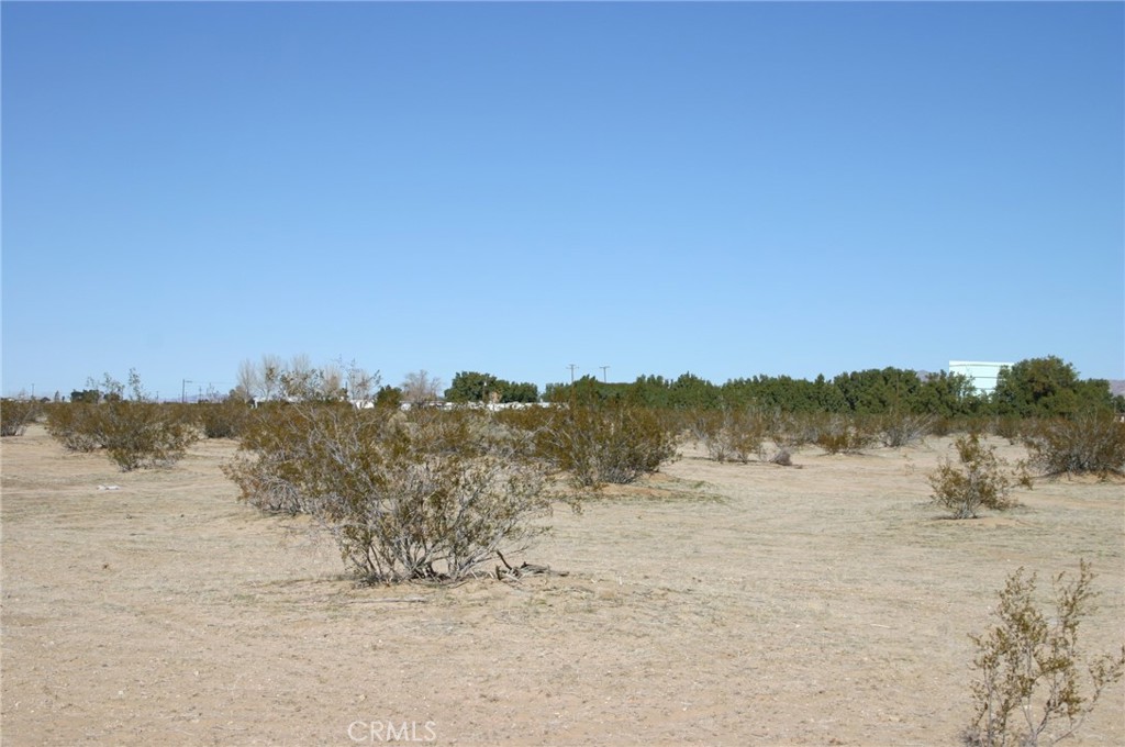 0 Amboy Road Property Photo 4
