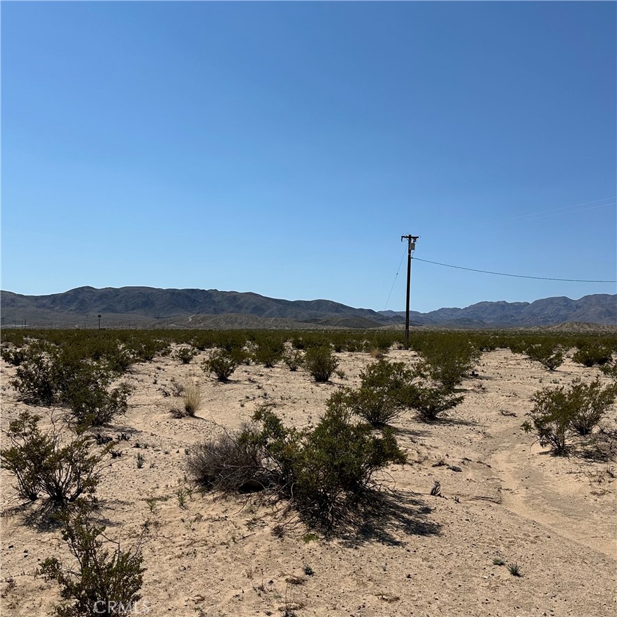 1234 El Paseo Property Photo 1