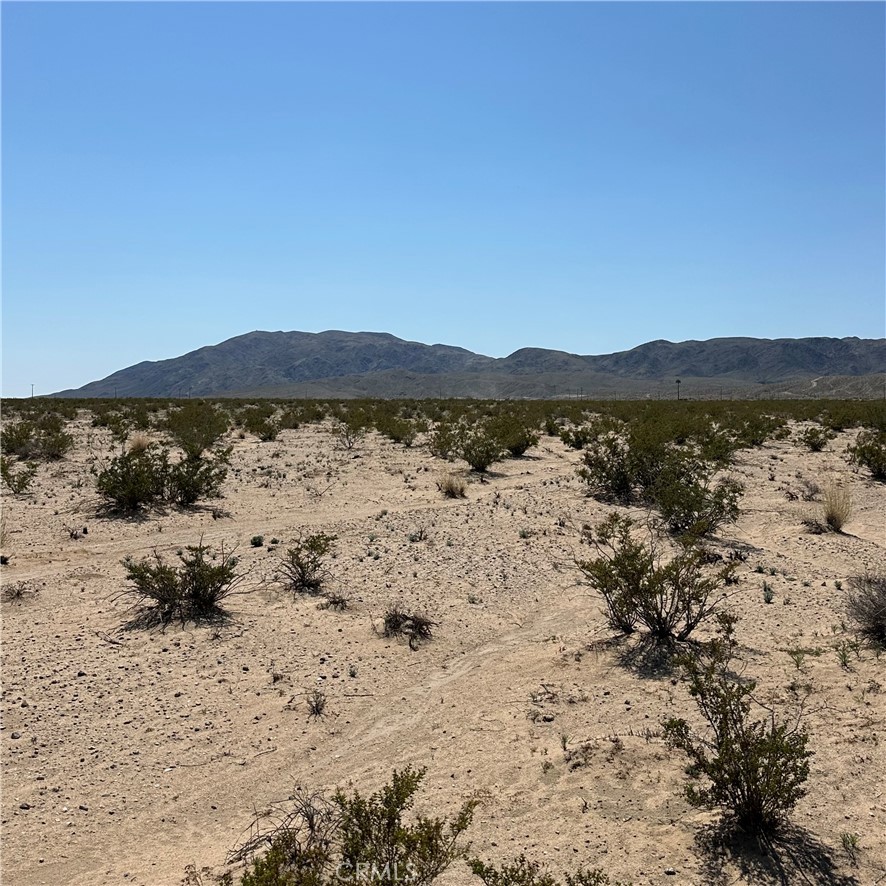 1234 El Paseo Property Photo 2
