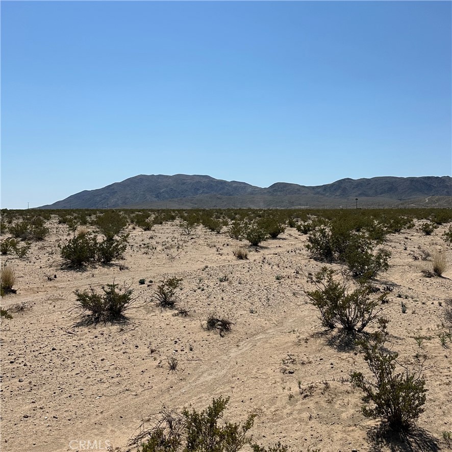 1234 El Paseo Property Photo 3