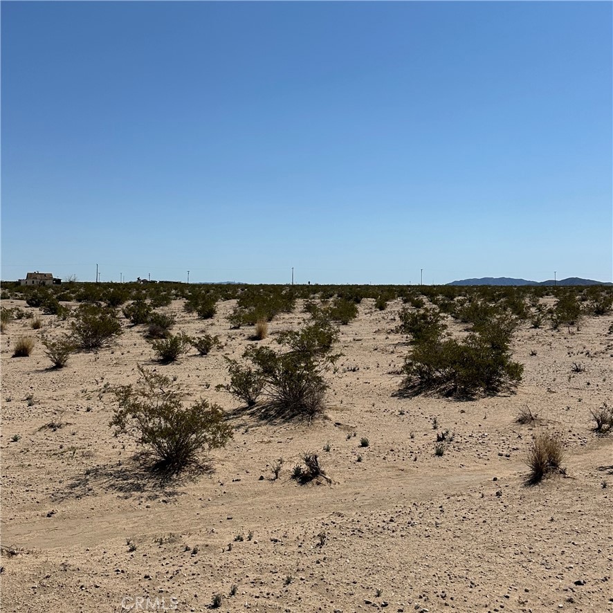 1234 El Paseo Property Photo 4