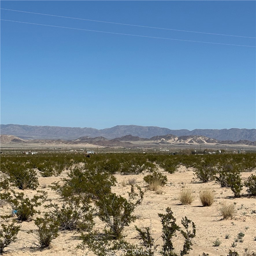 1234 El Paseo Property Photo 5