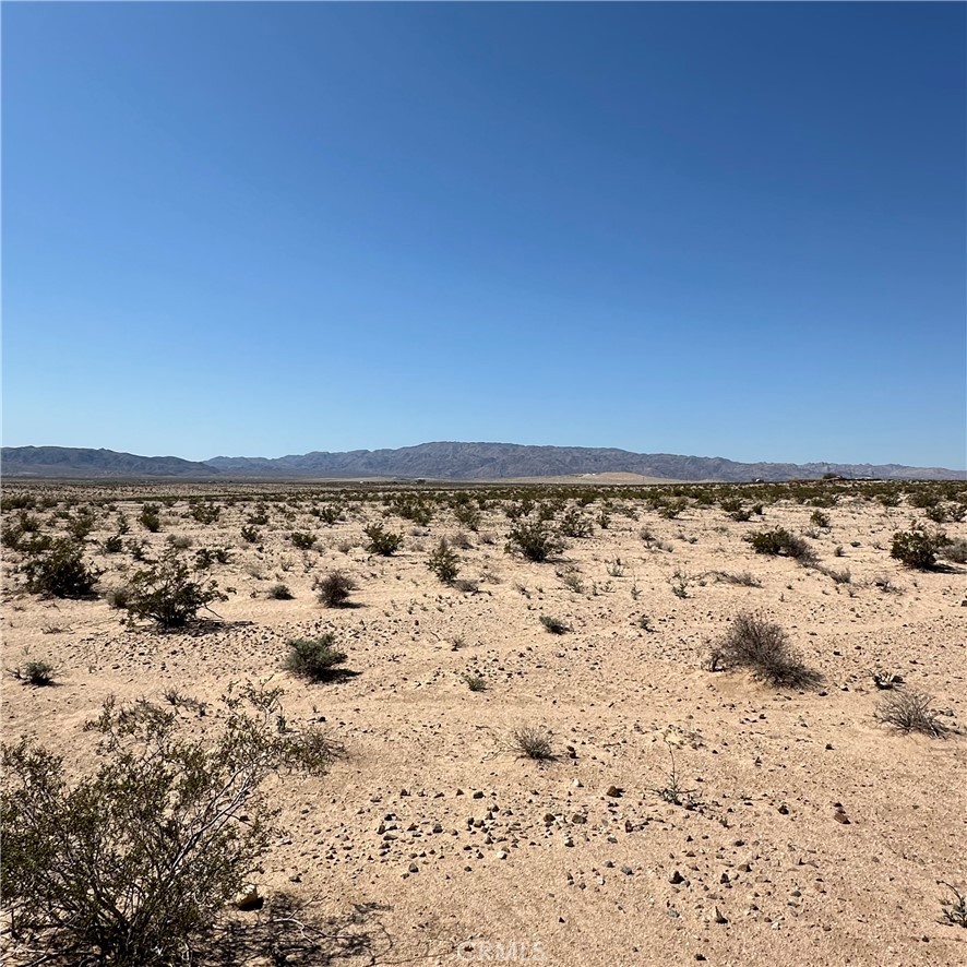 1234 Taco Drive Property Photo 4
