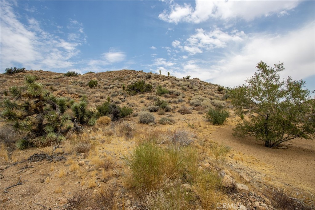 55700 Golden Bee Drive Property Photo 4