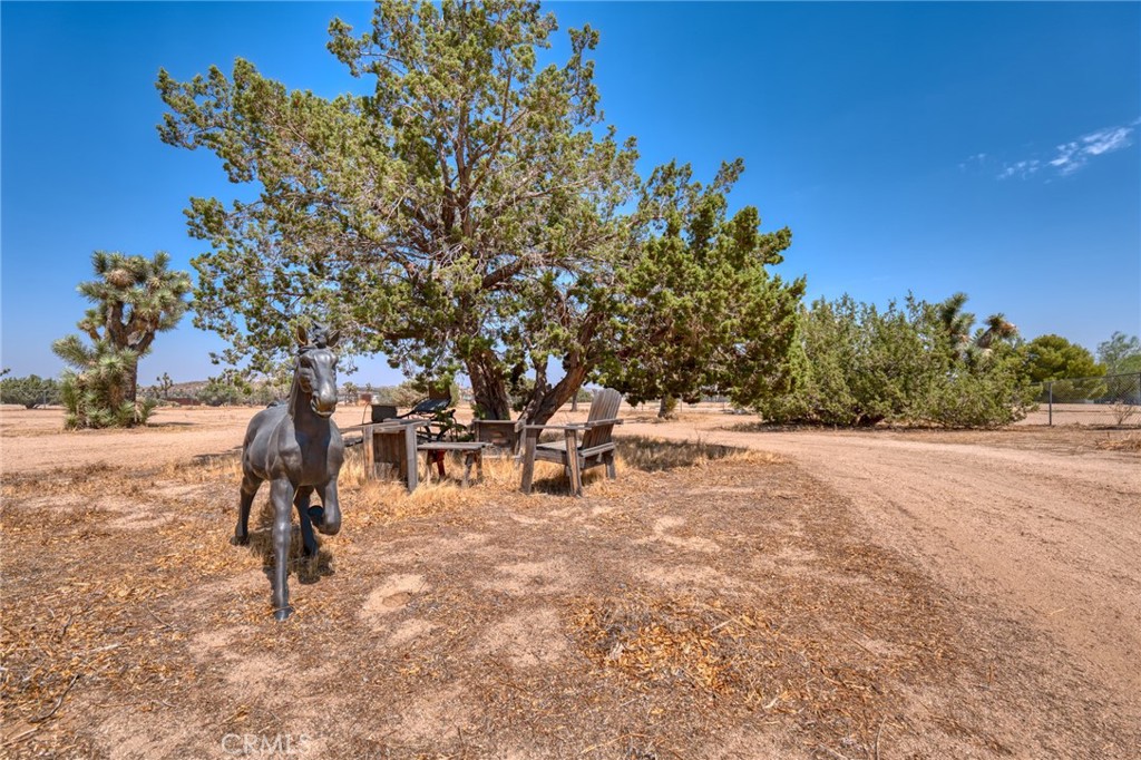 56810 Chipmunk Trail Property Photo 25