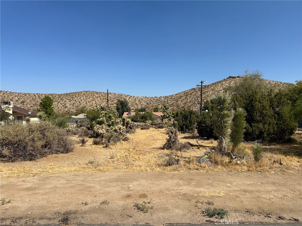 0 Desert Gold Drive Property Photo 1