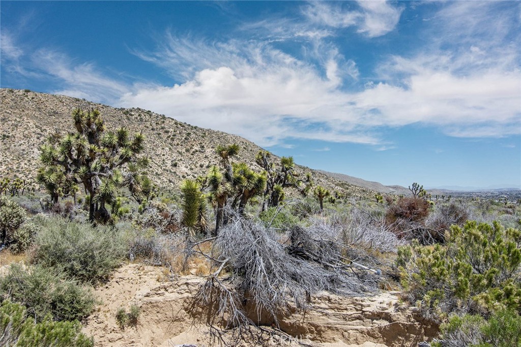 54129 Pinon Drive Property Photo 6