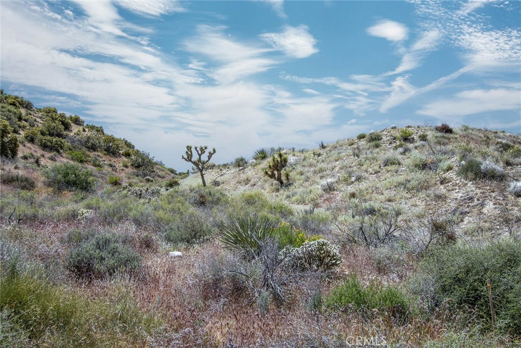 54129 Pinon Drive Property Photo 7