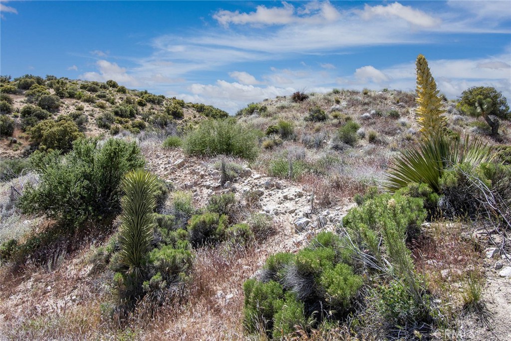 54129 Pinon Drive Property Photo 9