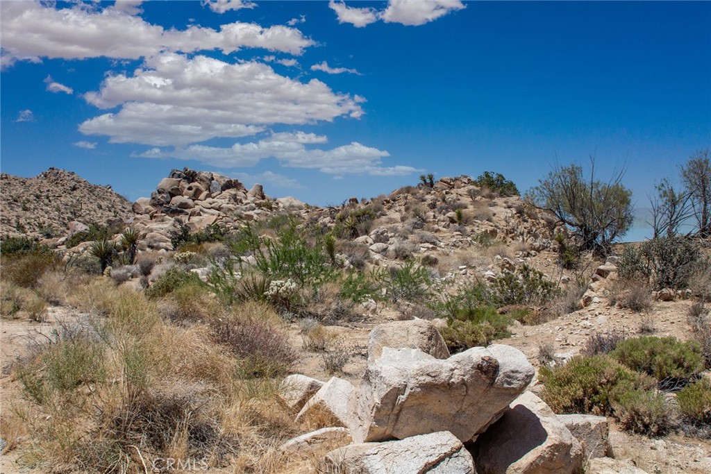 60300 Mountain Trail Property Photo 3