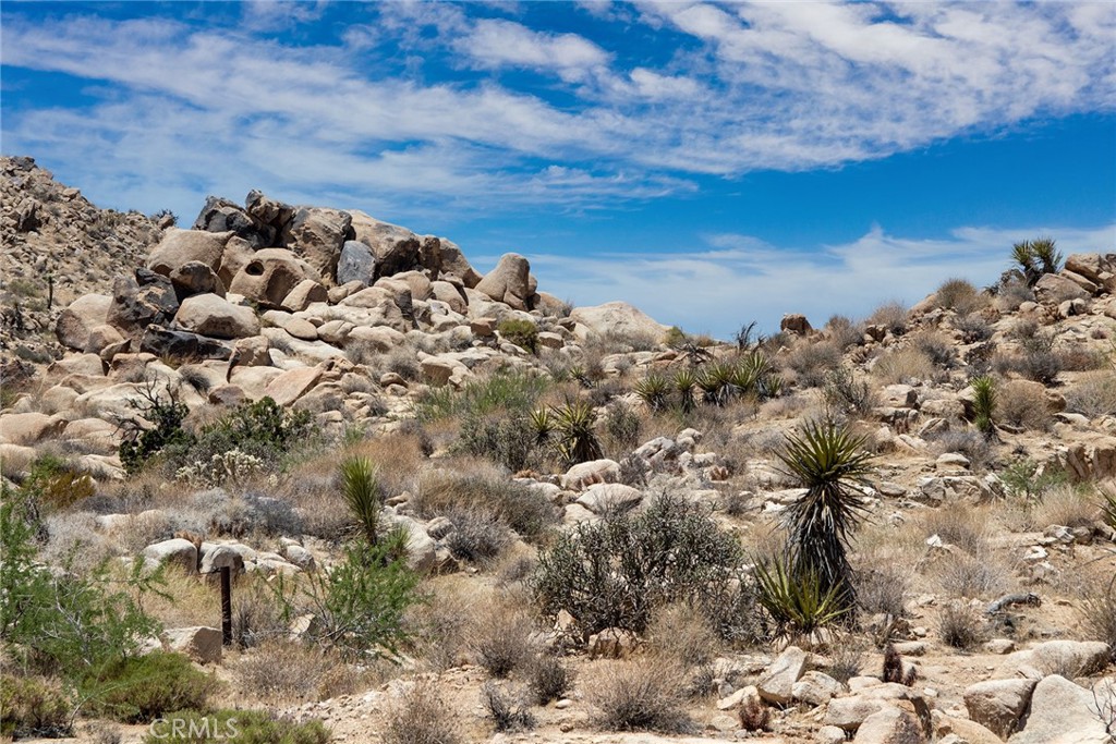 60300 Mountain Trail Property Photo 7