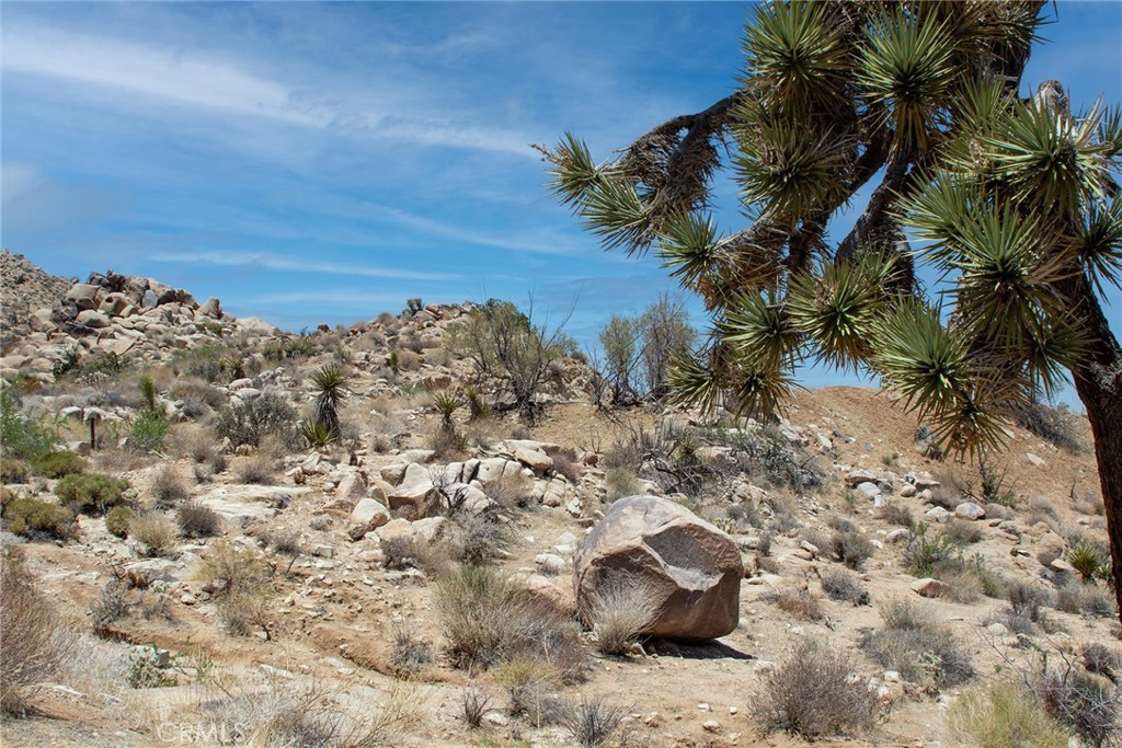 60300 Mountain Trail Property Photo 8