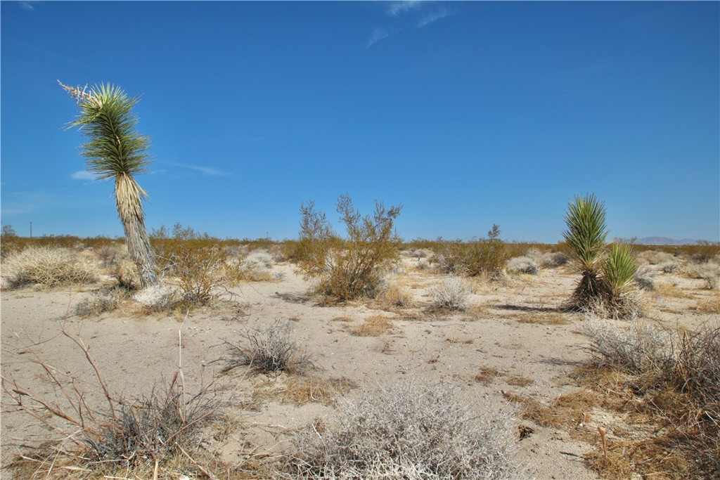0 Moonlight Mesa Avenue Property Photo 4