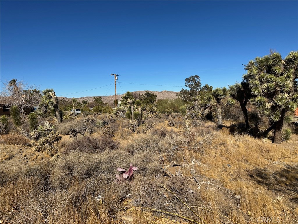 56434 Desert Gold Drive Property Photo 3