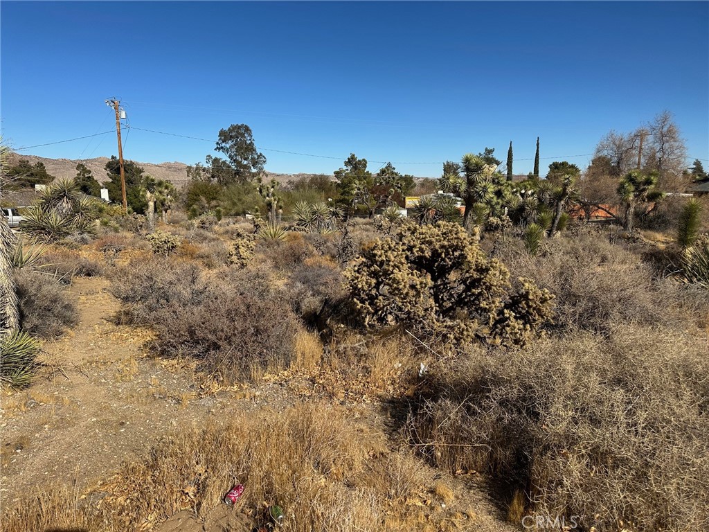 56434 Desert Gold Drive Property Photo 4