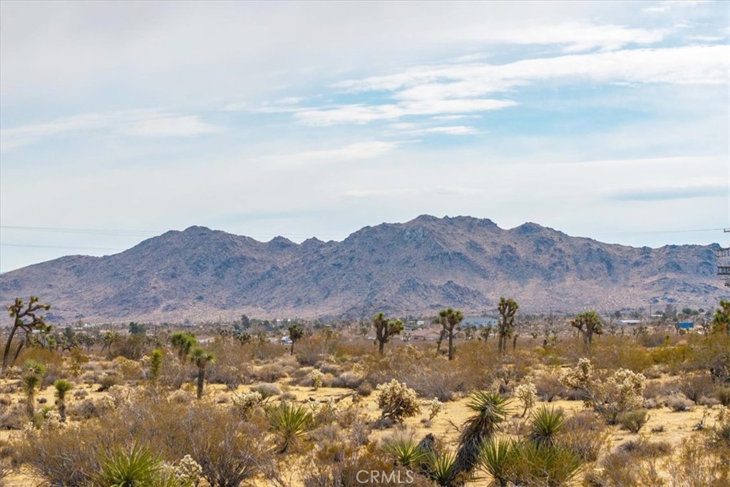 3342 Yucca Mesa Road Property Photo 6