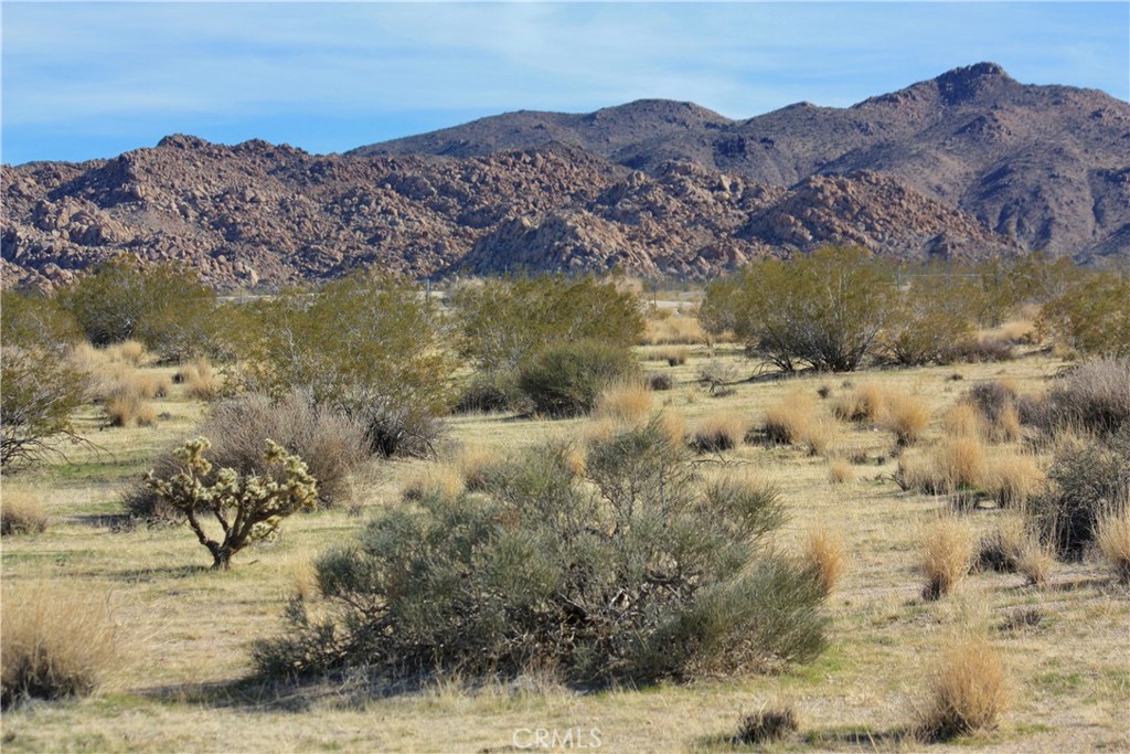 7130 Sunfair Road Property Photo