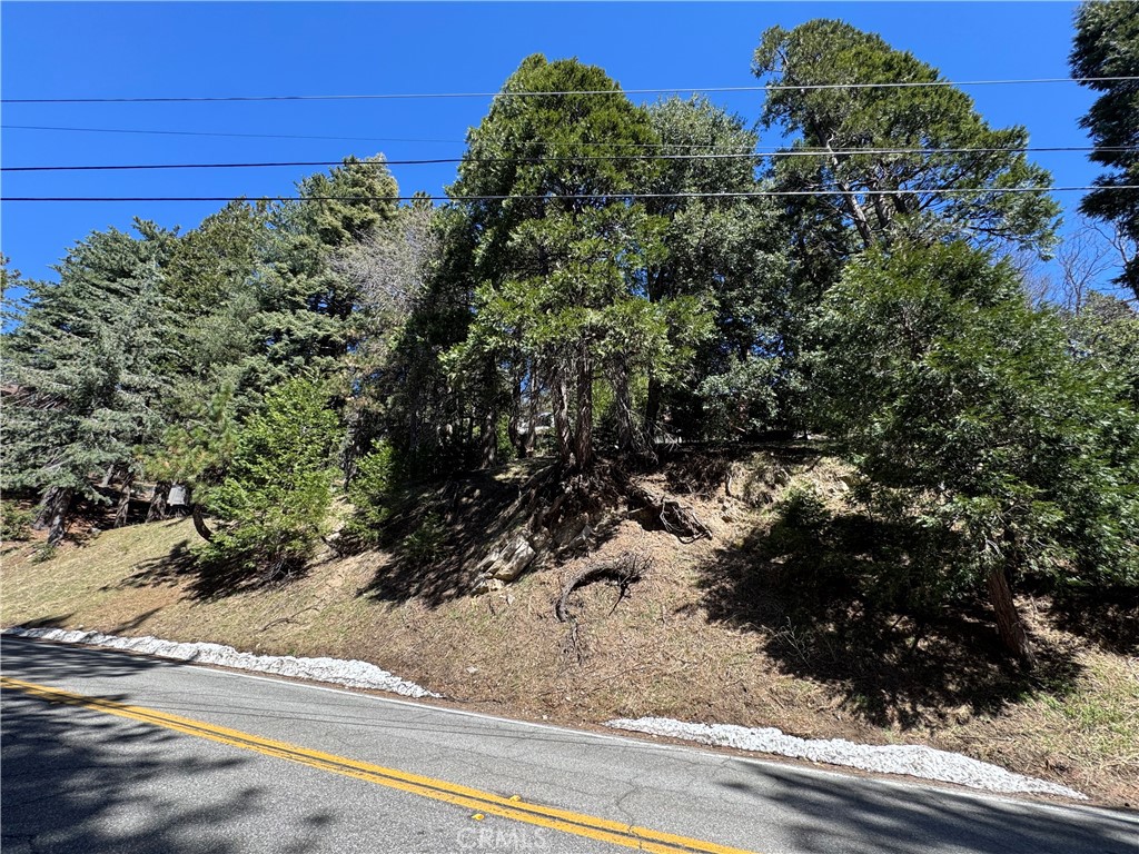 0 North Road Property Photo 2
