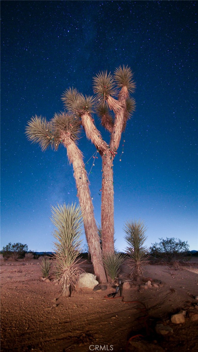 66750 Pole Line Road Property Photo 36