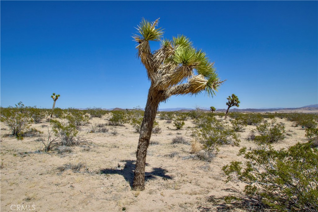 2625 Sunset Road Property Photo