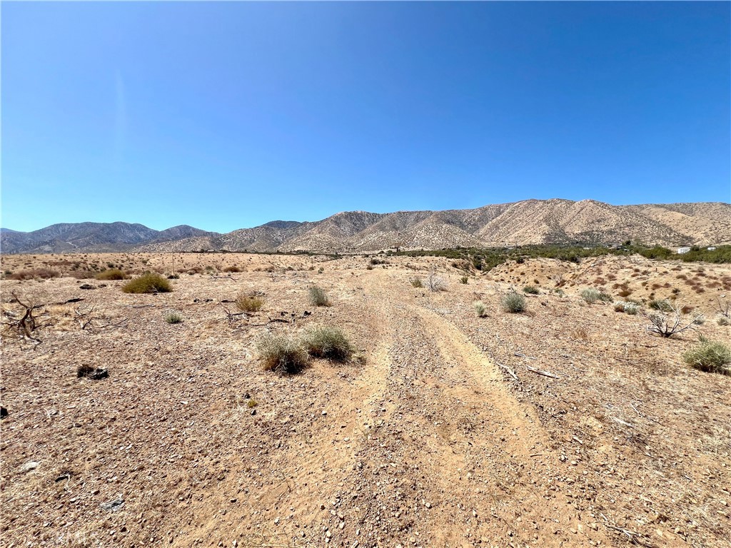 113 Juniper Mesa Road Property Photo 3