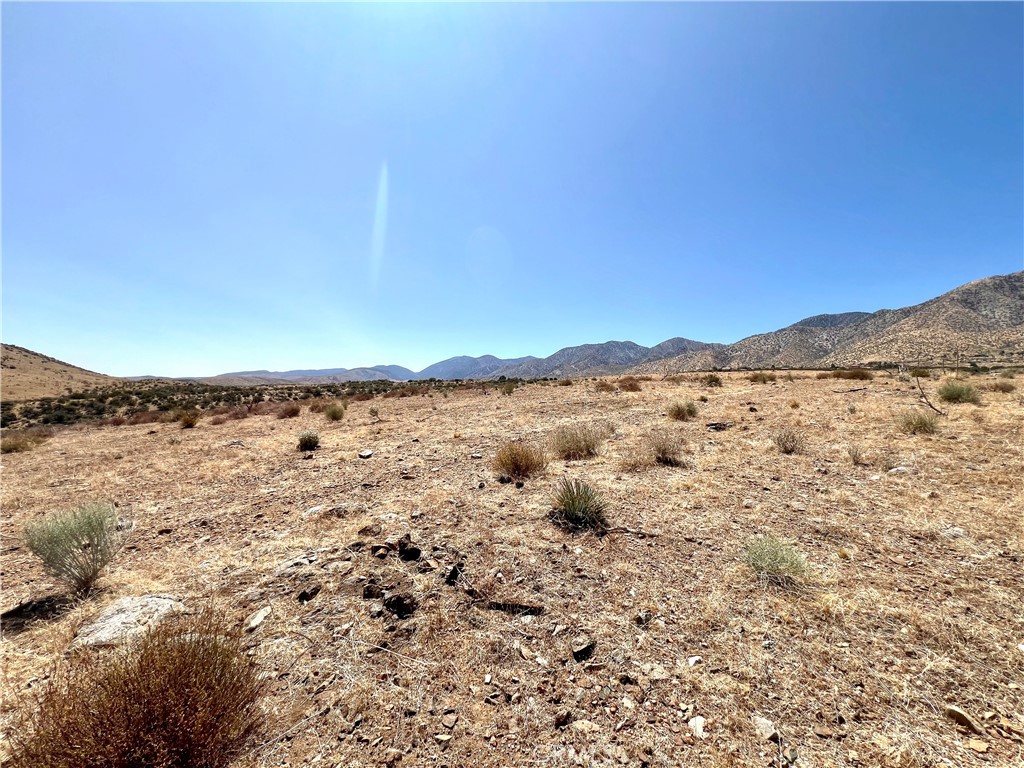 113 Juniper Mesa Road Property Photo 4