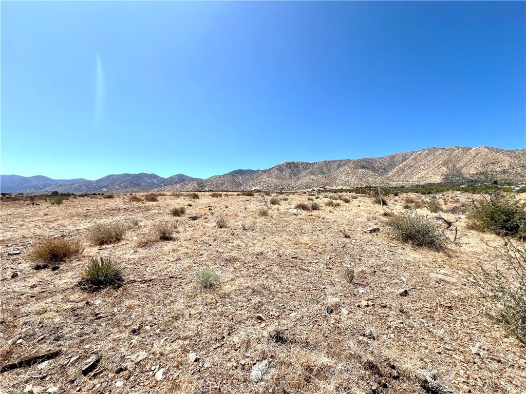 113 Juniper Mesa Road Property Photo 5